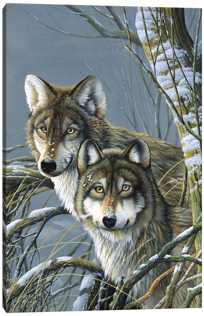 Two Wolves Canvas Art Print - Jan Weenink