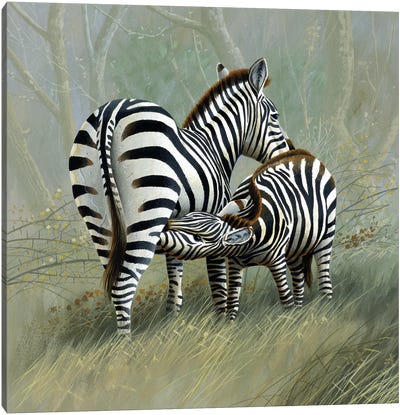 Two Zebras Canvas Art Print - Jan Weenink