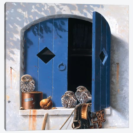 Visiting Birds I Canvas Print #WEE48} by Jan Weenink Canvas Wall Art