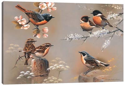 Bird Composition Canvas Art Print - Jan Weenink