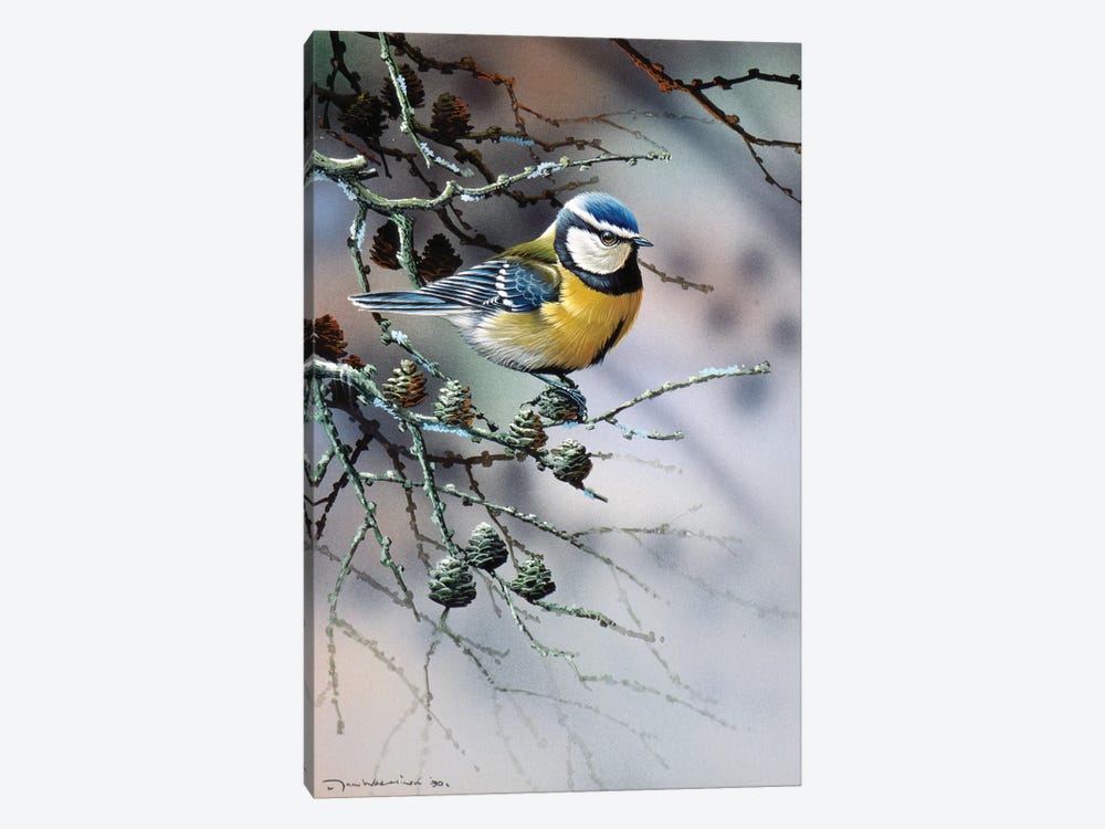 Bird In A Fir Tree 1-piece Canvas Art Print