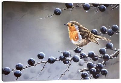 Bird Sitting On A Vine Tree Canvas Art Print