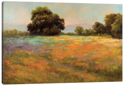 Spring Meadow Canvas Art Print