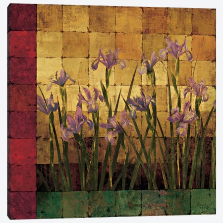 Iris Garden Canvas Print #WEL1} by Marcia Wells Canvas Art