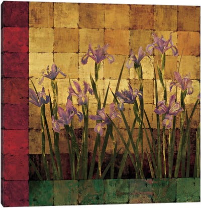 Iris Garden Canvas Art Print