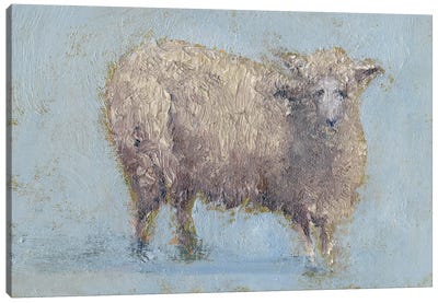 Sheep Strut I Canvas Art Print