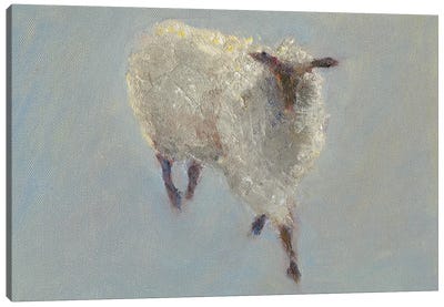 Sheep Strut II Canvas Art Print - Sheep Art
