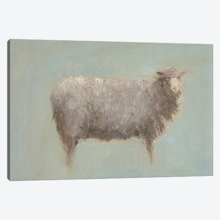 Sheep Strut III Canvas Print #WEN14} by Marilyn Wendling Art Print