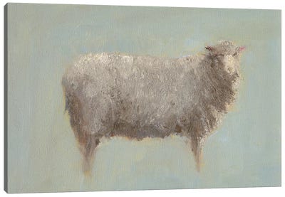 Sheep Strut III Canvas Art Print