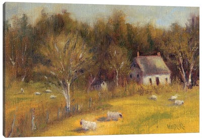 Cottage Meadow I Canvas Art Print