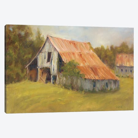 Tin Roof Canvas Print #WEN7} by Marilyn Wendling Canvas Print