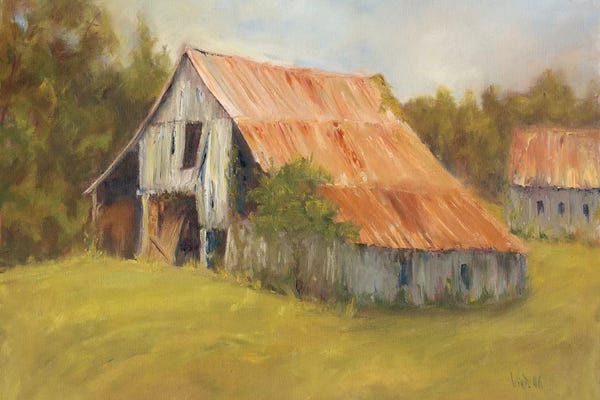 Farms: Tin Roof by Marilyn Wendling