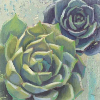 Succulents I Crop by Wellington Studio art print