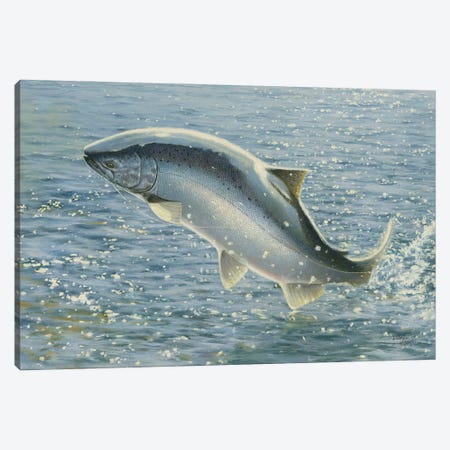 Salmon Canvas Print #WES10} by Wellington Studio Canvas Art Print