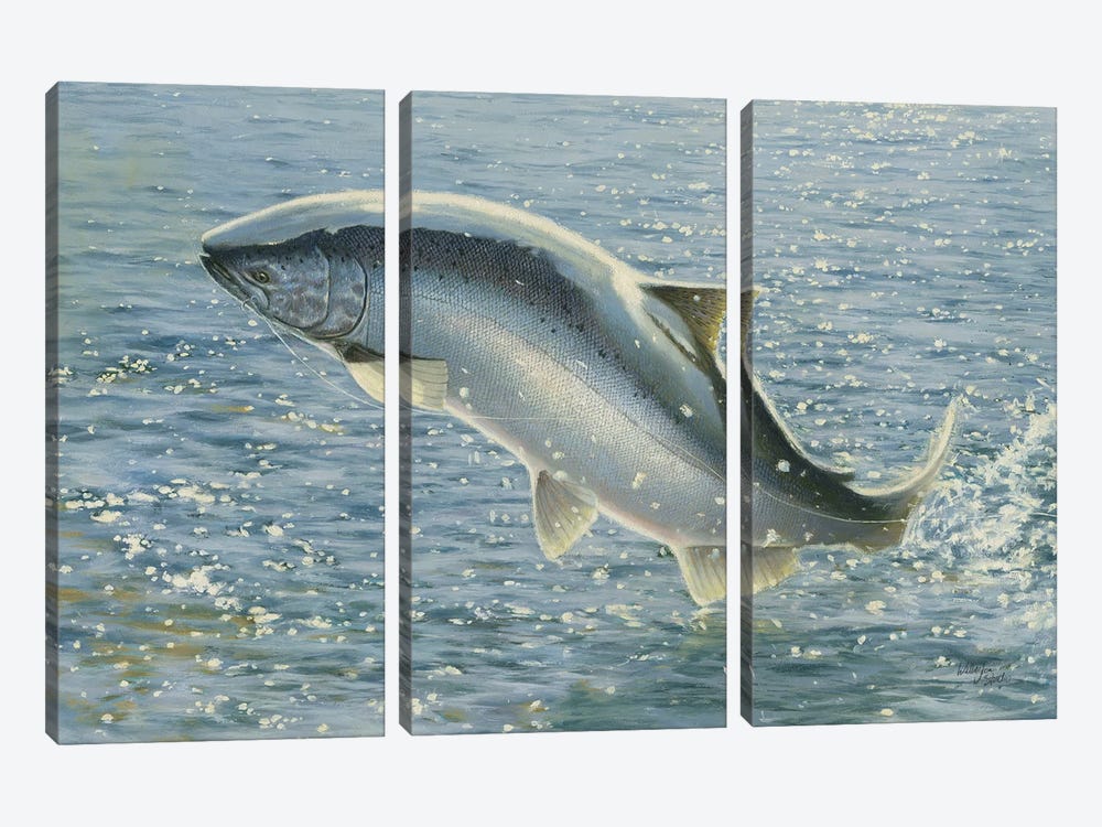 Salmon by Wellington Studio 3-piece Canvas Wall Art