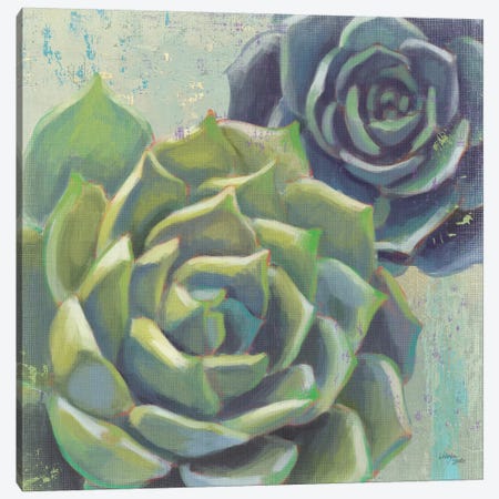 Succulents I Crop Canvas Print #WES1} by Wellington Studio Canvas Art