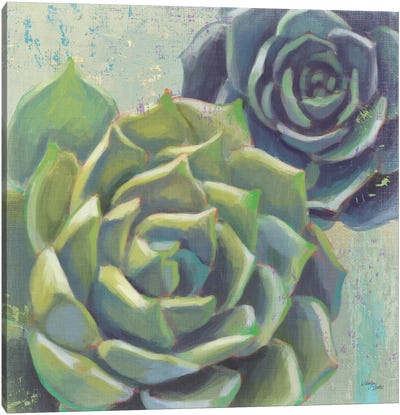 Succulents I Crop Canvas Art Print