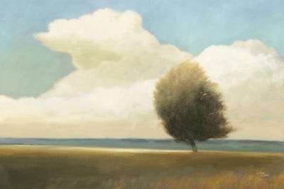 Windblown Tree by Wellington Studio art print