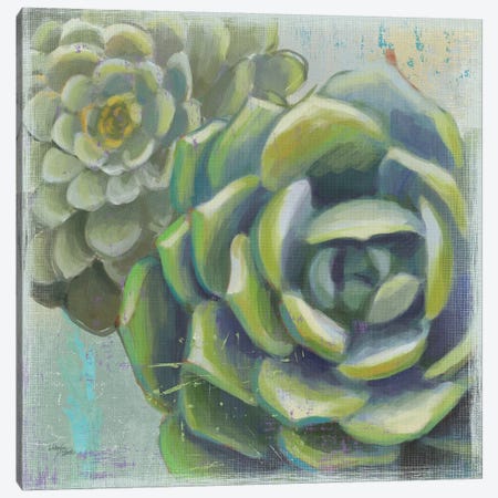 Succulents II Canvas Print #WES2} by Wellington Studio Canvas Wall Art
