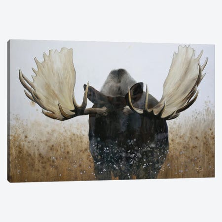 Moose Canvas Print #WES8} by Wellington Studio Canvas Art