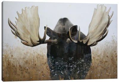 Moose Canvas Art Print - Moose Art