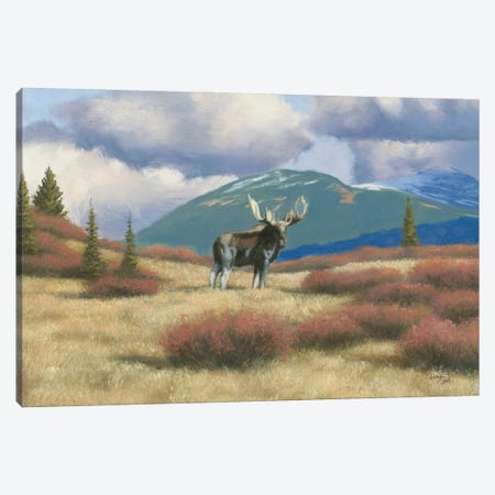 Northern Moose Canvas Print #WES9} by Wellington Studio Canvas Artwork