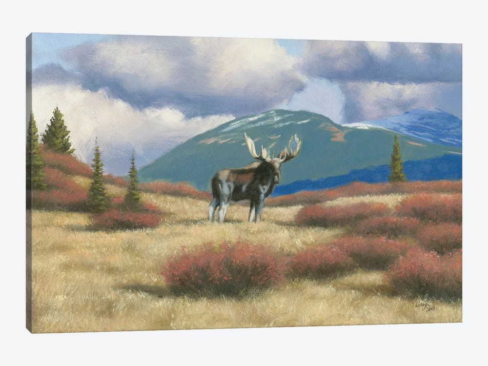Northern Moose by Wellington Studio 1-piece Canvas Print