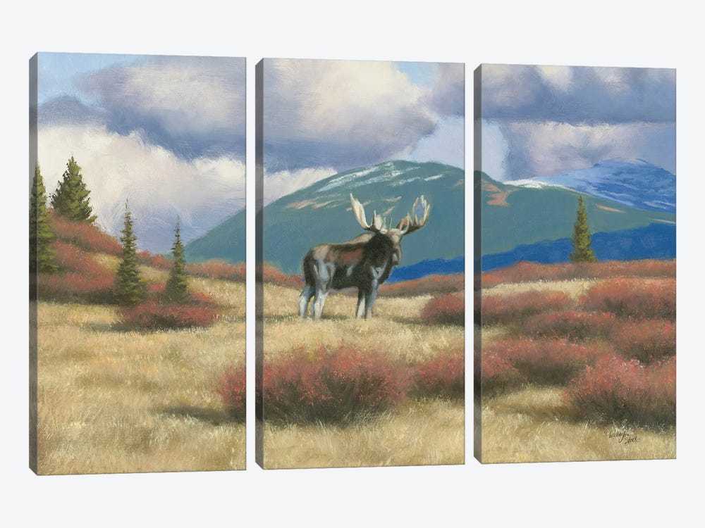 Northern Moose by Wellington Studio 3-piece Canvas Art Print