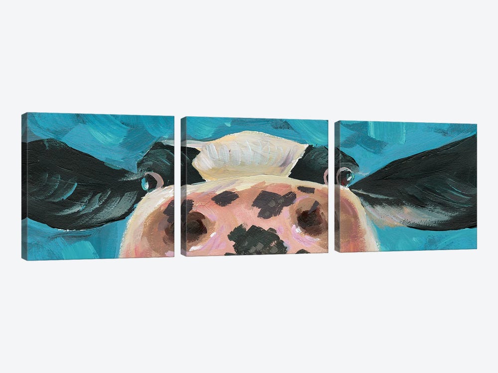 Curious Cow by White Ladder 3-piece Canvas Print