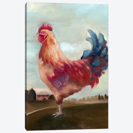Hillside Rooster II Canvas Print #WHL13} by White Ladder Canvas Print