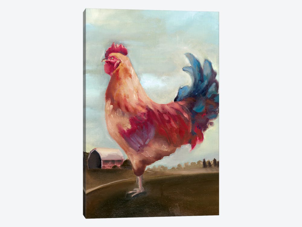 Hillside Rooster II by White Ladder 1-piece Canvas Print