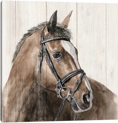 Horse Portrait Canvas Art Print