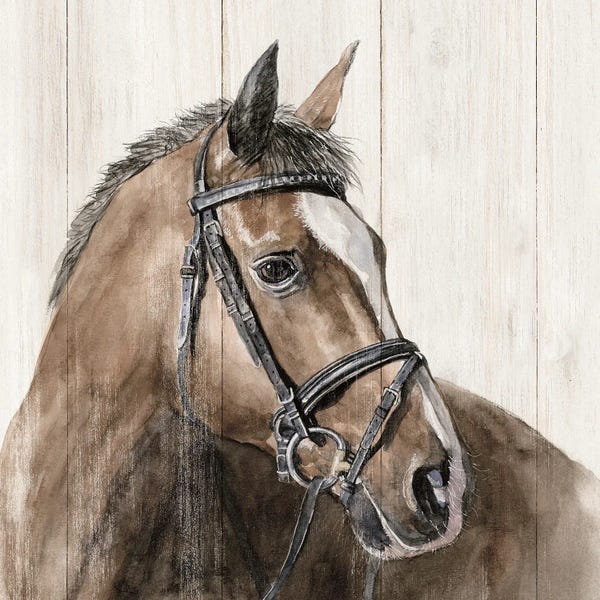 Modern Farmhouse Décor: Horse Portrait by White Ladder