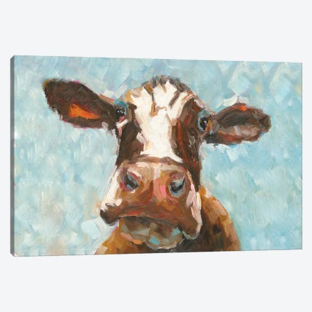 How Now Brown Cow Canvas Print #WHL16} by White Ladder Canvas Art