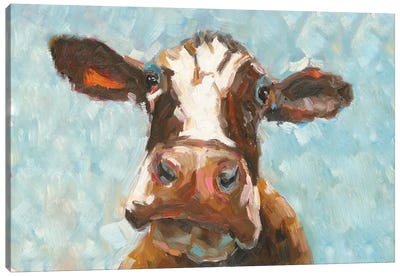 How Now Brown Cow Canvas Art Print