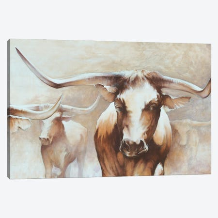 Longhorn Herd Canvas Print #WHL17} by White Ladder Canvas Wall Art