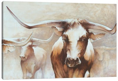 Longhorn Herd Canvas Art Print