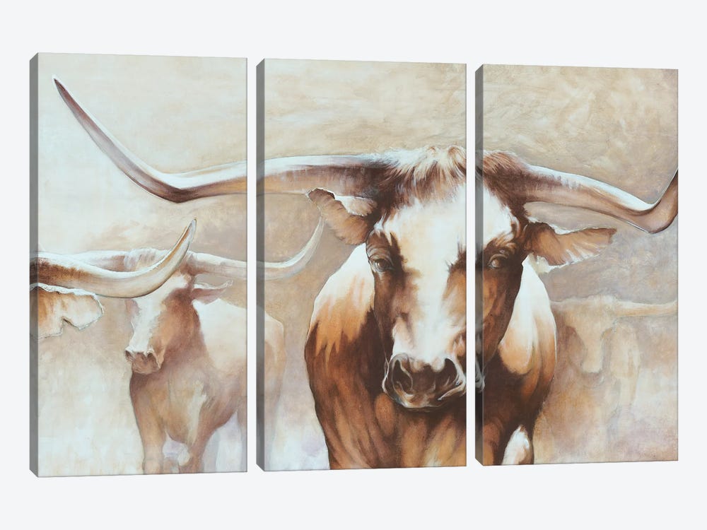 Longhorn Herd by White Ladder 3-piece Canvas Art Print