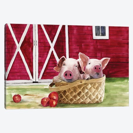 Pigs In A Basket Canvas Print #WHL19} by White Ladder Canvas Print