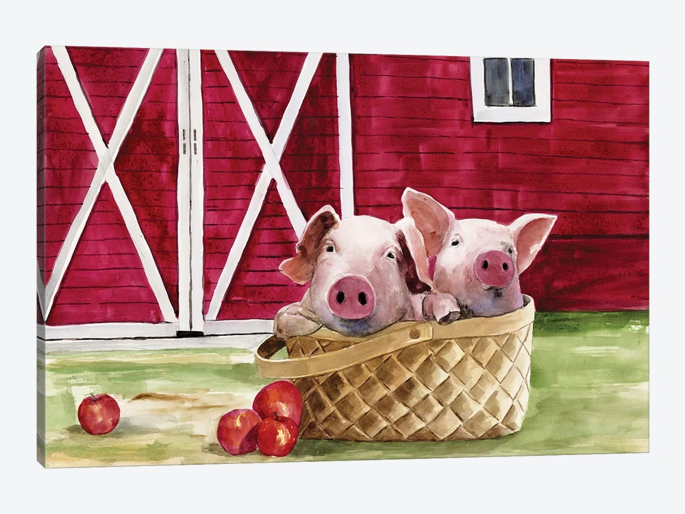 Pigs In A Basket by White Ladder 1-piece Canvas Art Print