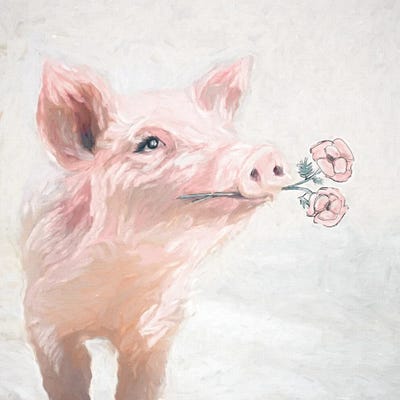 Pretty Pink Pig by White Ladder gallery poster