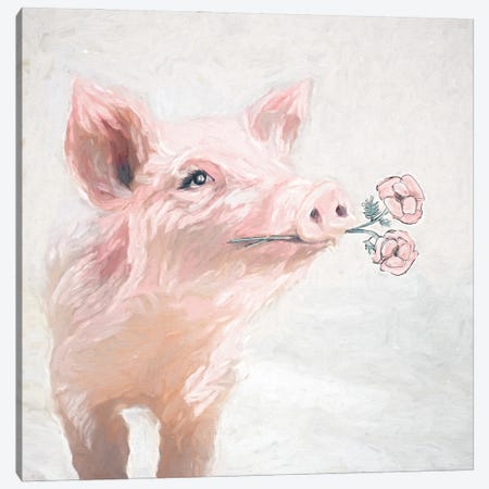 Pretty Pink Pig Canvas Print #WHL20} by White Ladder Canvas Artwork