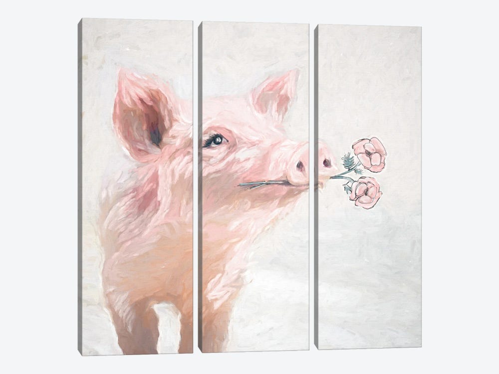 Pretty Pink Pig by White Ladder 3-piece Canvas Print