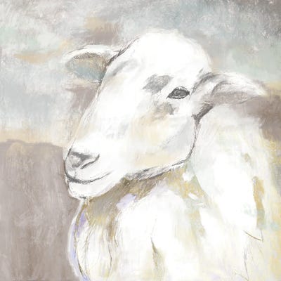 Sheep Portrait by White Ladder gallery poster