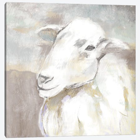Sheep Portrait Canvas Print #WHL23} by White Ladder Canvas Wall Art