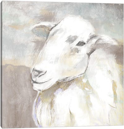 Sheep Portrait Canvas Art Print