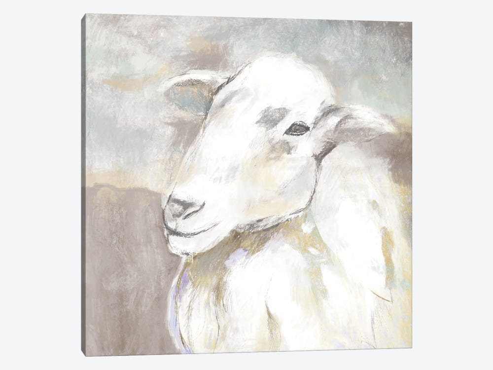 Sheep Portrait by White Ladder 1-piece Canvas Wall Art