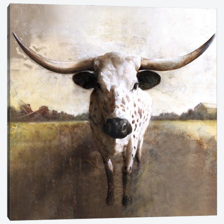 Spotted Cow Canvas Print #WHL24} by White Ladder Art Print