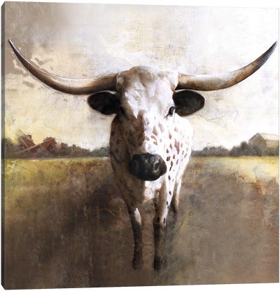 Spotted Cow Canvas Art Print - Cow Art