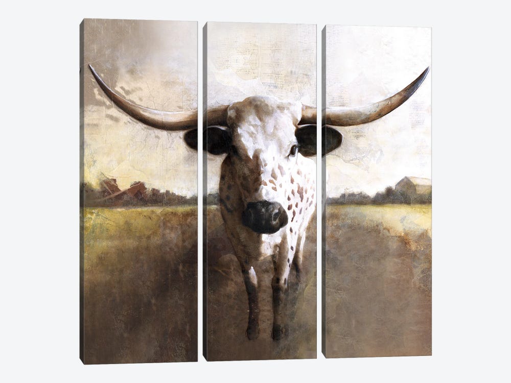 Spotted Cow by White Ladder 3-piece Art Print
